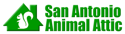 San Antonio Animal Attic